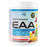 Performance EAA 910g